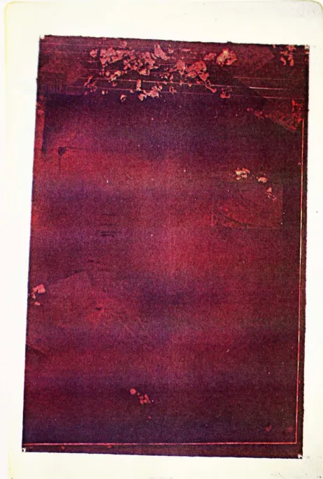 Fig.6Untitled-22"