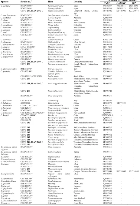 Table 1. A list of Colletotrichum isolates used in this study. 
