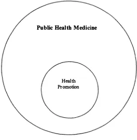 Figure 5. 1: The relationship of health promotion to public health medicine in operational and funding terms 