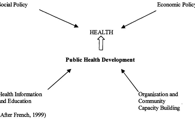 Figure 4: The Nature of Health Development 