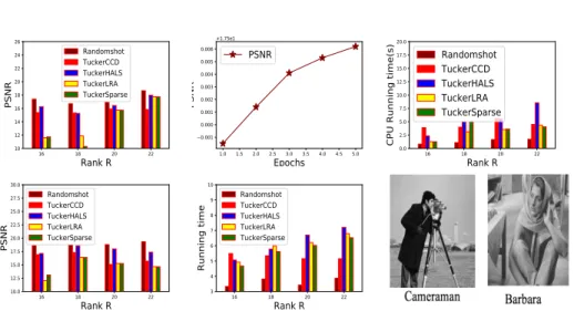 Fig. 2. Top: results for Cameraman (image of size 256 × 256), Bottom: results for Barbara (image of size 512 × 512)