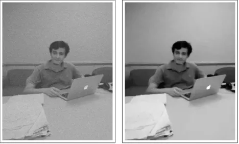 Figure 1.1: Example of image denoising, the left panel corresponds to a noisy input image, the right panel consists of the fused lasso solution.