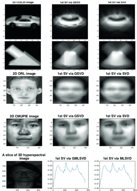 Figure 4.3 – A comparison of the 1st singular vectors obtained via GSVD and SVD for various 2D and 3D real face tensors
