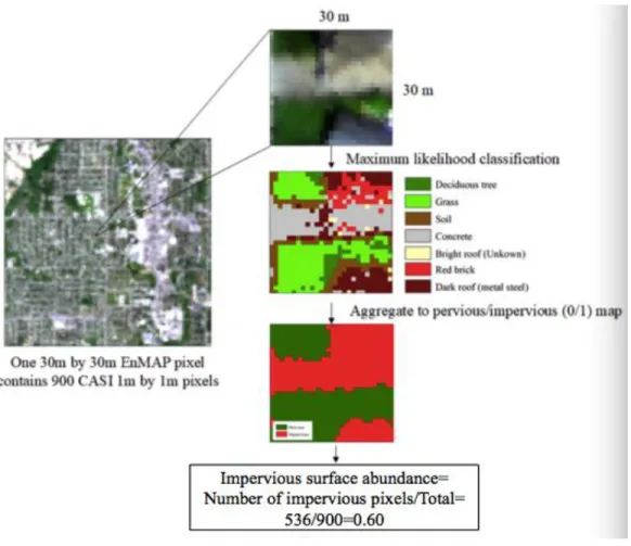 Figure 2-6: Generate reference map from the CASI image. 