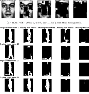 Fig. 3. Examples of (a) one sample of FERET database (b) four frames of the first video sample (20 frames) of USF gait database, with {30%, 50%, 70%, 90%} missing entries generated by MbM settings.