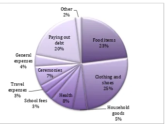 Figure 
  8: 
  Average 
  household 
  expenditure 
  