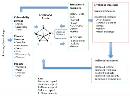Figure 
  6: 
  Sustainable 
  livelihood 
  framework 
  