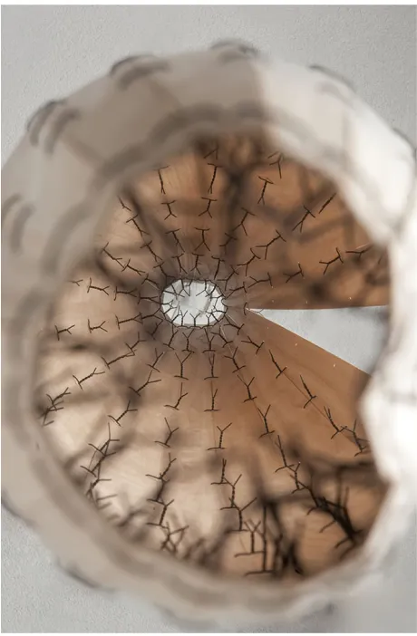 Fig.9  