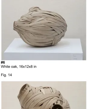 Fig. 14 