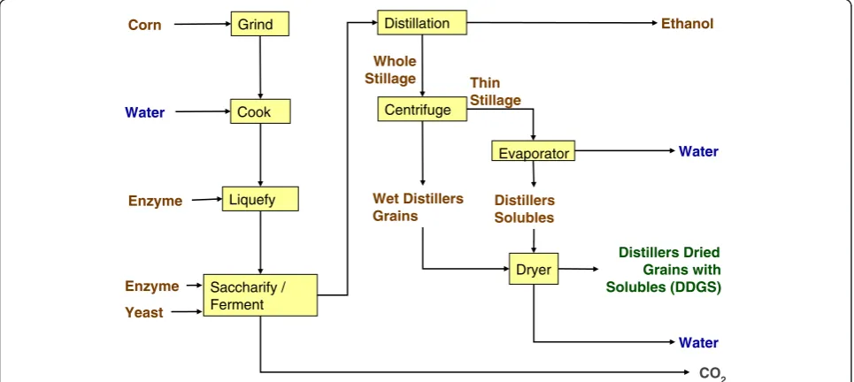 Figure 3 Conventional dry grind process for production of ethanol and distillers dried grains with solubles.