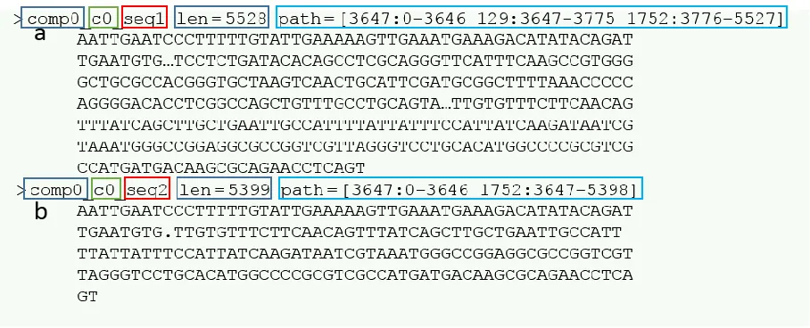 Figure 1 | Displays a snapshot of two transcripts from a final de novo transcriptome FASTA file
