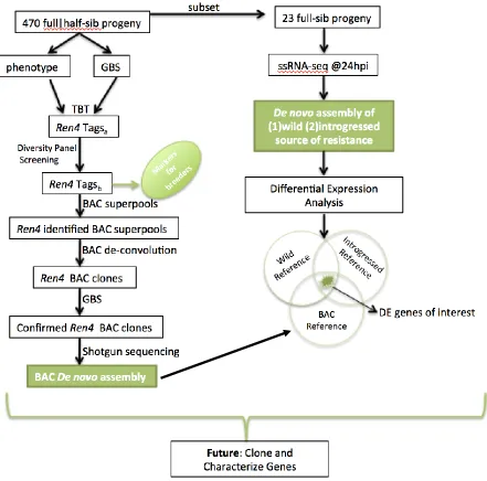 Figure 2. Experimental Flow Diagram detailing experimental methods and technologies to be 