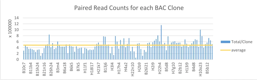 Figure 6 | Clean paired-read count for each BAC Clone. Details the paired-end read counts for each BAC clone library within one lane of sequencing