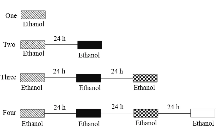 Figure 2.2. Schematic of the four ethanol exposed groups used to determine when flies acquire tolerance to the sedating effects of ethanol