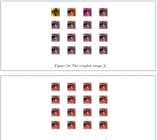 Figure 18: The coupled image Y.