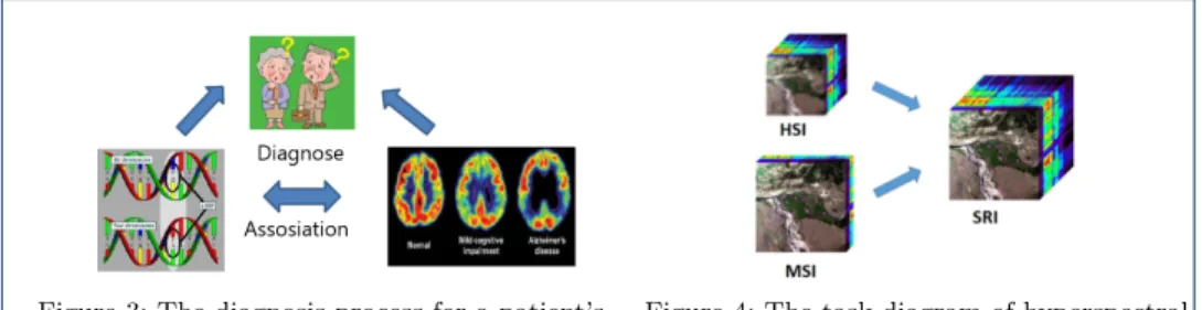 Figure 3: The diagnosis process for a patient’s brain.