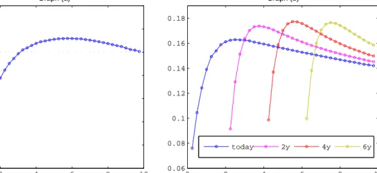 Figure 3.8: Graph (a) plots the forward rate specific factors obtained when parametrization (3.28) is fitted to swaption volatilities together with the instantaneous correlation matrix parameterized by (3.30)