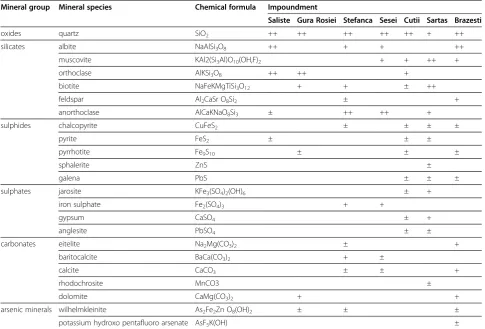 Table 2 Mineralogical composition of tailings