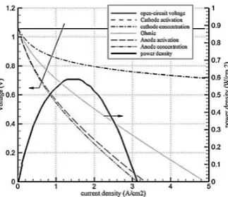 Fig.7 shows the mole fraction distribution in the 
