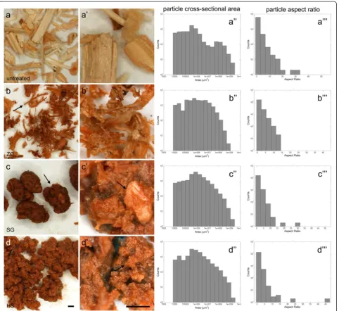 Figure 1 Stereo micrographs of dilute acid pretreated (2 wt% H2SO4, 160°C, 5 min) corn stover from three different reactors