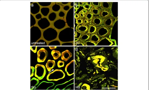 Figure 2 CSLM micrographs show cellular-scale evidence of biomass deconstruction. (a) Control, (b) ZC, (c) SG, and (d) HS
