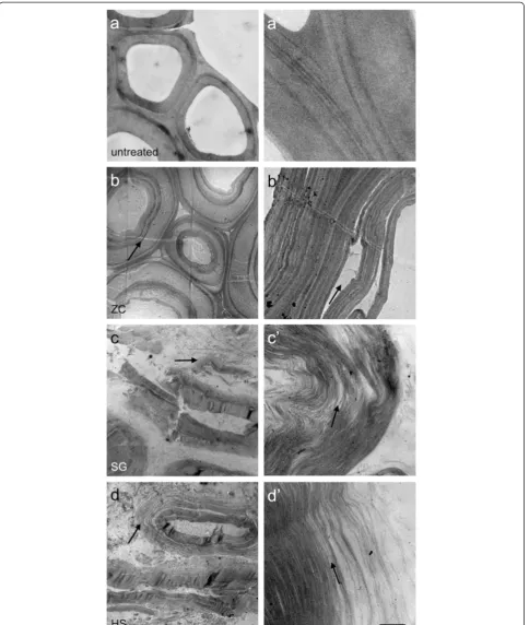 Figure 5 TEM micrographs display variable degrees of delamination and nanofibrillation within biomass cell walls (arrows)