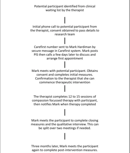 Figure 3.1. Participant Process Flowchart. 
