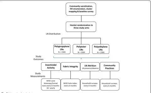 Fig. 2 Schematic of study design