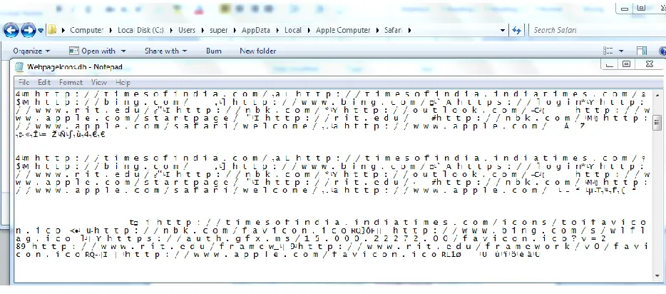 Figure 4: Safari WebpageIcons.db on Windows Screenshot 