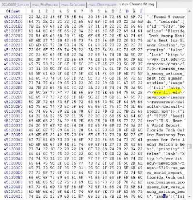 Figure 11: Chrome on Linux Winhex analysis Screenshot 