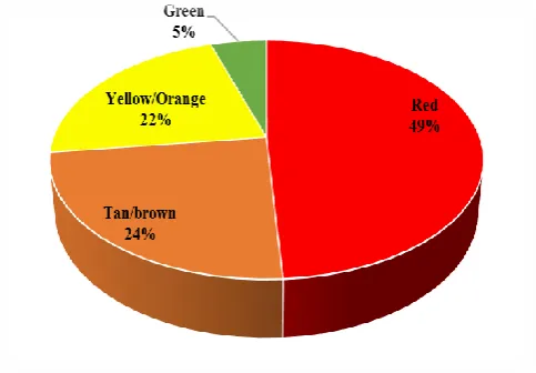 Fig. 3 Percentage distribution of Vegetables Based on Colour at JM 