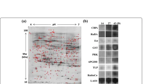 Figure 5 Proteome profiles of CC124 during adaptive evolution period. (a) The proteins showing differentially expressed levels during theadaptive evolution period are indicated as red points