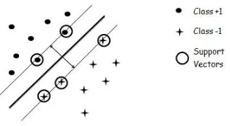 Figure 2.1: SVMs seek to ﬁnd a hyerplane which maximizes margin between two classes