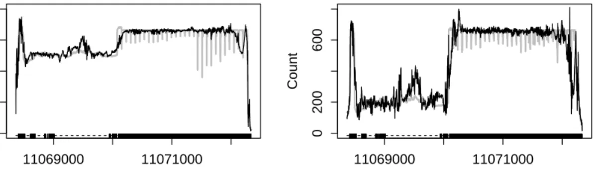 Figure 3.4: Estimated counts after removing GC bias for two time courses of gene Hsc70-4