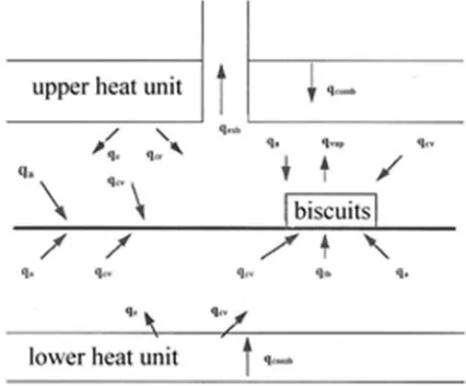 Figure 3. heat equilibrium in an element length channel 