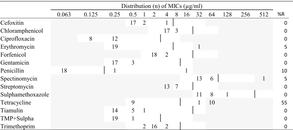 Table 7 MIC distributions and occurrence of resistance of Staphylococcus schleiferi (n = 20) isolates from Danish mink (2014–2016)