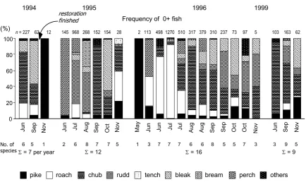 Figure 3. A review of the proportions of ecological and reproductive groups of adult fish in the Kurfürst backwater in 1994–1999 