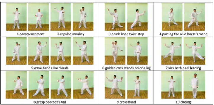 Figure 2 Ten- Form tai chi.