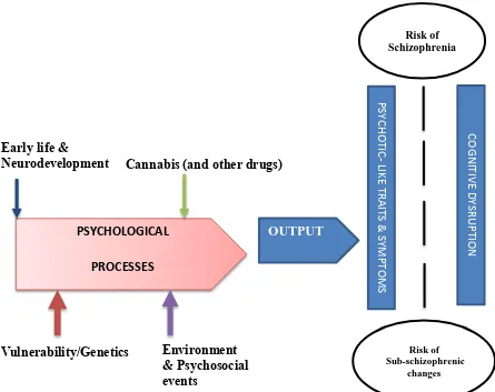 Figure 1: A multi-component model (an adaption of the diathesis stress model) for the link between cannabis use and risk for schizophrenia