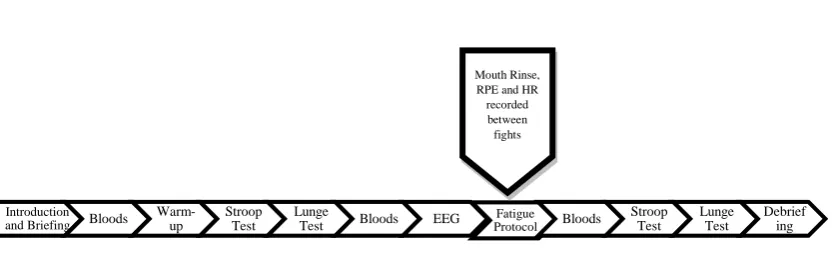 Figure 1.  A schematic diagram representing the main study protocol. 