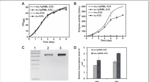 Figure 2 Cell growth and protein production of recombinant strain with modifiedoriginal(detected by qPCR) in m α-factor signal peptide (mα-1pRML-X33), strain with α-factor signal peptide (zα-1pRML-X33), and two control strains (mα-X33 and zα-X33)