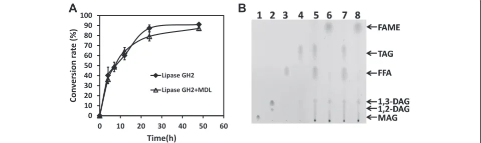 Figure 4 Detection of esterification reaction products by GC and TLC. A: GC detection
