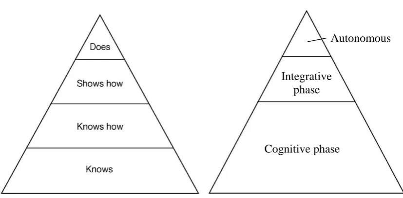Figure 3.2 Conceptual Clinical competence pyramids. 