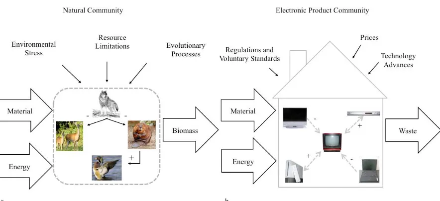 Figure 1 Adoption of community ecology principles to a the electronic product community:  a) illustrates the community ecology concepts in terms of an example animal community (e.g., grey wolf, white tail deer, and beaver) in the Adirondack Park, New York 