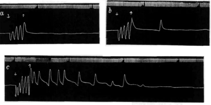 Fig. a. After-discharge following the application of i-o g. for 10 sec
