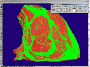 Figure 4. The comparison of video image analysis with classical Soxhlet extraction – fat content in the whole loin (cross-section behind the 8th rib)