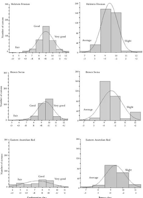 Figure 2. Frequency distribution of SEUROP conformation and fatness classes in HF, BS and EAR males