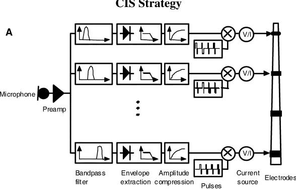 Figure 2.6: Block Diagram of CIS Speech Encoding Strategy [5]