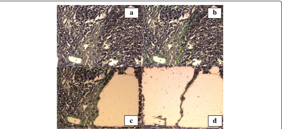 Fig. 4 miR-18a-5p, miR-146a-5p and miR-363-3p expression levels in melanoma cells and healthy adjacent skin as evaluated by qPCR