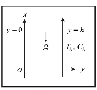 Fig. 1: Geometry of the problem 